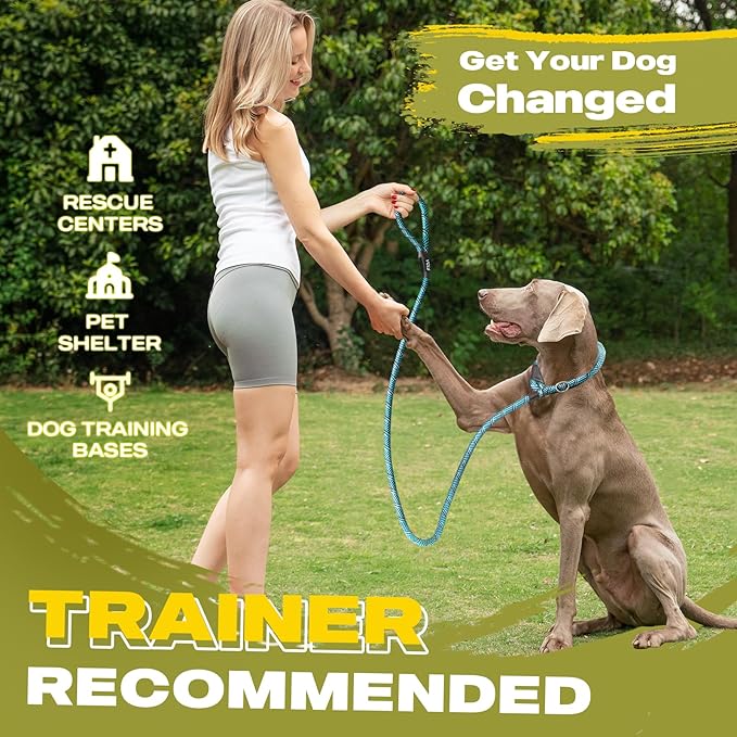Fida Durable Slip Lead Dog Leash Bulk Pack of 5, Heavy Duty 1/2" x 6 FT Comfortable Strong Rope Slip Lead for Large, Medium & Small Dogs No Pulling Pet Training Leash with Highly Reflective (Blue)