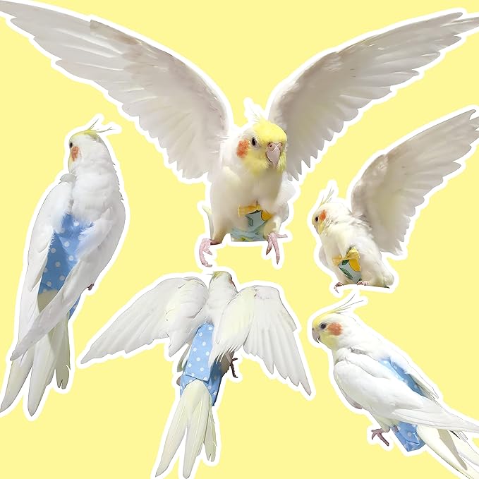 VANFAVORI Bird Diaper Harness Flight Suit Clothes with 80 Inch Flying Leash Rope for Parrots Conure Cockatiel Pet Birds Weight 80-105 Grams, M Size Lemon, Including A Cotton Pad