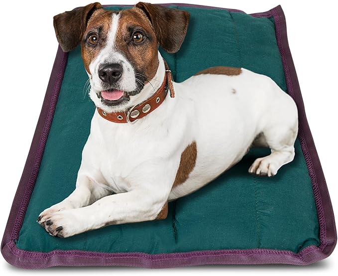 Jeffers Pet Comfort Dog Pillow, XL 36" x 48", Dark Green – Machine Washable Dog Bed for House, Sofa, Crate & Travel – Poly Cotton Shell, Winter Warmth, Soft, Comfy, Durable, Top Pet Bedding