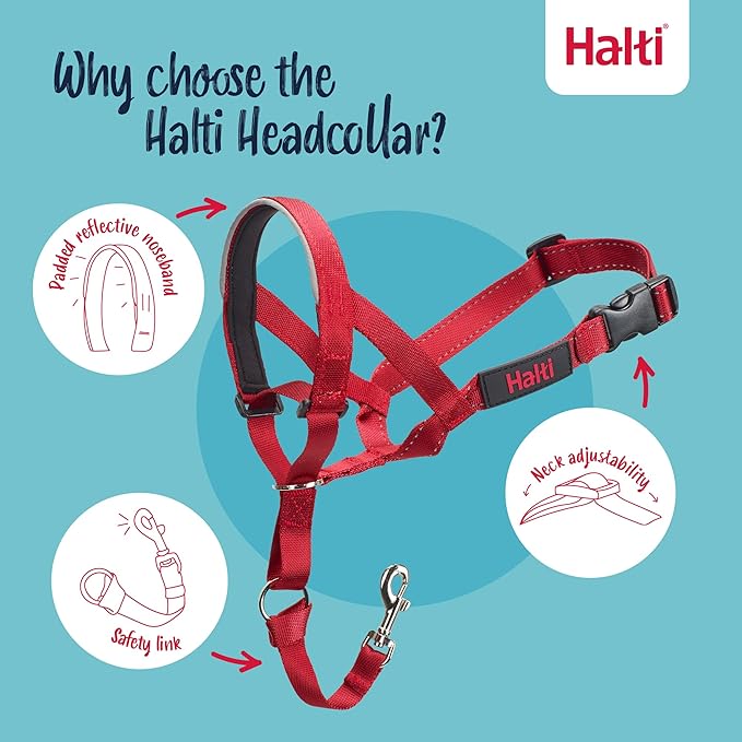 Halti Headcollar - Stop Your Dog Pulling on The Leash. Adjustable, Reflective and Lightweight, with Padded Nose Band. Dog Training Anti-Pull Collar for Small Dogs (Size 1, Red)