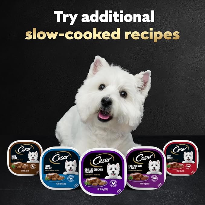 Cesar Classic Loaf in Sauce Adult Wet Dog Food Bacon & Egg Flavor, Wet Food for Dogs, 3.5 oz Easy Peel Trays, 24 Count