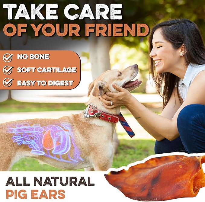 BRUTUS & BARNABY Whole Pig Ears for Dogs, 100 Ct. – All-Natural Single Ingredient Dog Chews, Slow Cooked & Fully Digestible Rawhide Alternative