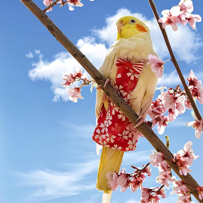 2 Pcs Bird Diapers Bird Harness Flight Suits Diapers with 80in Flying Leash Reusable Parrot Nappy with Waterproof Inner Layer for Cockatiel Budgie Conure Parakeet Lovebird-Red&Light Blue