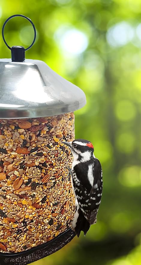 Wildlife Sciences Songbird Treats Seed Tower 2 Packs | Bundle of 2 | 1.5-2 lb Seed Log Towers for Wild Birds (Woodpecker Crunch)