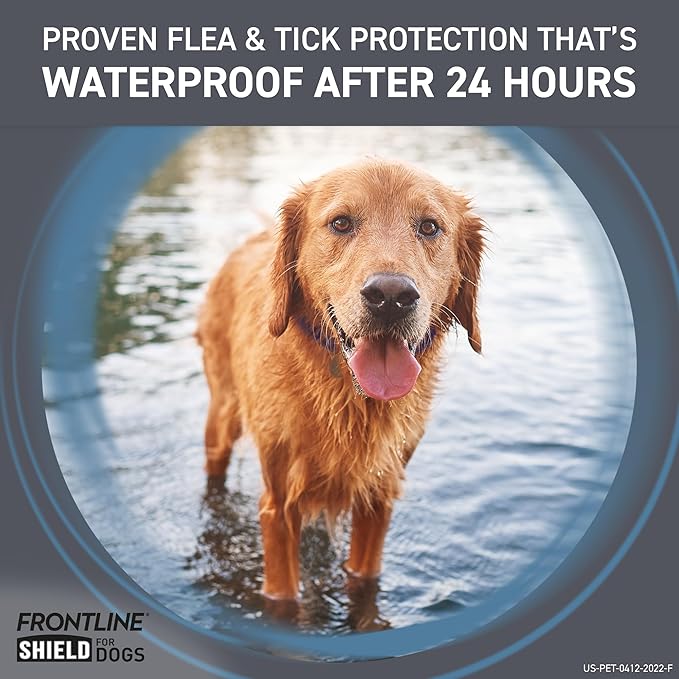 FRONTLINE Shield Flea & Tick Treatment for Large Dogs 41-80 lbs. Count of 6