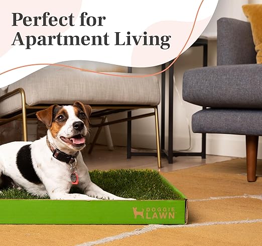 DoggieLawn Real Grass Puppy Pee Pads- 24 x 24 Inches - Perfect Indoor Litter Box for Dogs - No Mess, Easy-to-Use - Potty Training for Pets - Eco-Friendly Disposable Bathroom with Real Living Grass