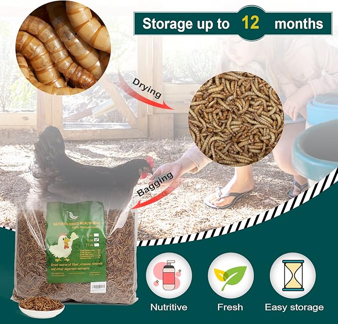 22LB Non-GMO Dried Mealworms, 100% Natural Large Size No Moisture, Mealworms for Chickens, Birds, Hedgehog, Hamster, Fish, Reptile, Turtles