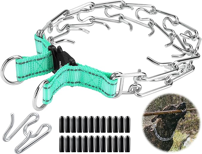 Quick Release Dog Training Collar Adjustable Stainless Steel Collar for Small Medium Large Dog (Teal, M/L Neck Girth 14.5"-18.6")