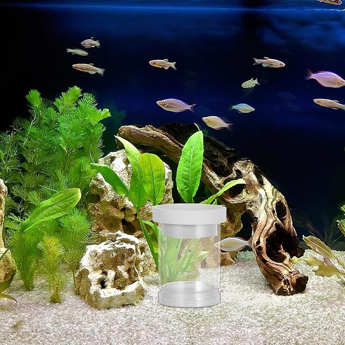 minkissy Aquarium Fish Breeding Box Floating Hatching Isolation Incubator with Divider and Egg Net Small White for Guppy and Small Fish Tank