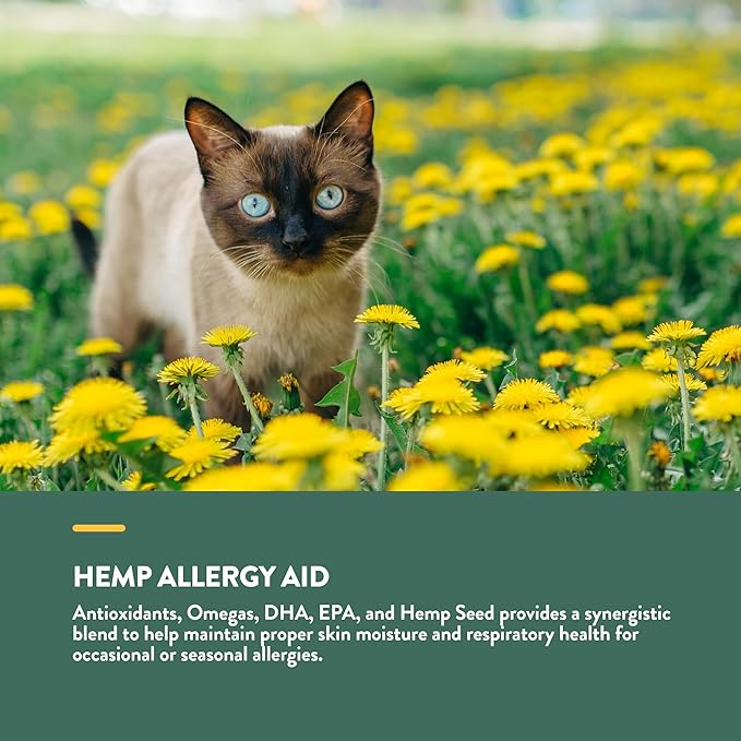 NaturVet Hemp Allergy Aid Plus Hemp Seed Soft Chews for Cats, 60 ct, Made in The USA