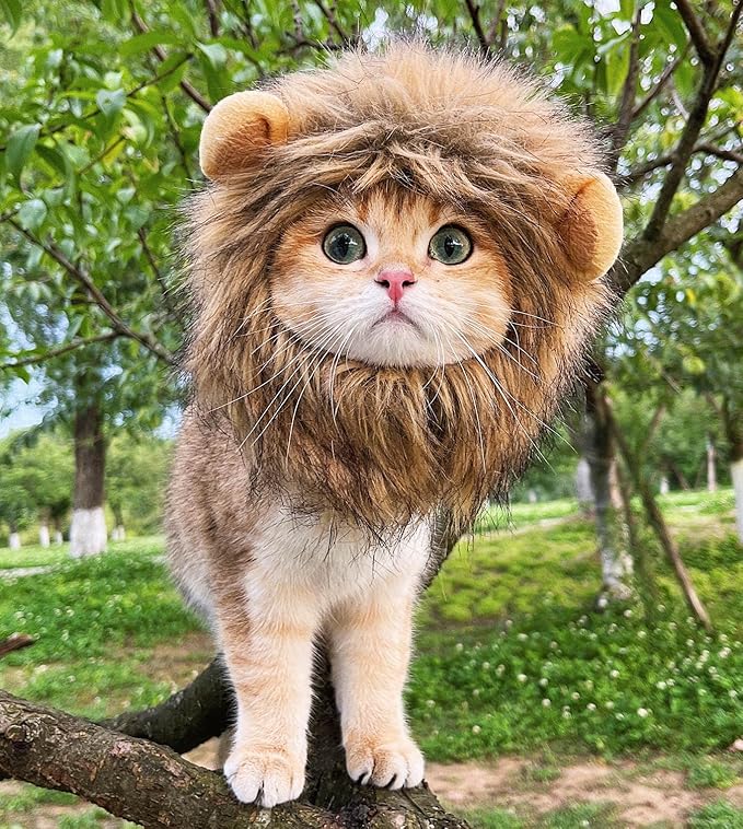 Lion Mane Wig for Cat,Cat Costume,Puppy Costume,Funny Pet Costumes for Halloween Christmas, Funny Pet Clothing Accessories (Large, Dark Brown)