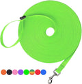 Hi Kiss Dog/Puppy Obedience Recall Training Agility Lead - 15ft 20ft 30ft 50ft 100ft Training Leash - Great for Training, Play, Camping, or Backyard (30 Feet, Green)