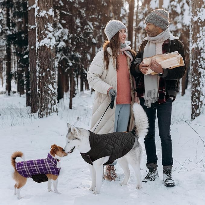 Kuoser Waterproof Dog Coat, Reversible Dog Jacket for Medium Dogs, Adjustable Durable Doggie Winter Coat Warm Puppy Cold Weather Apparel from Small to Large Breed, Purple M