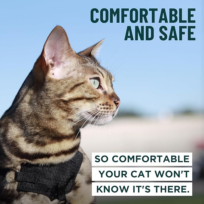 Houdini™ Escape Proof Kitten Harness and Leash Set by OutdoorBengal – Extra Small – Comfy, Adjustable and Lightweight - Houdini Cat Harness Escape Proof for Small Cats + Cat Leash 6ft (Multicolor, XS)