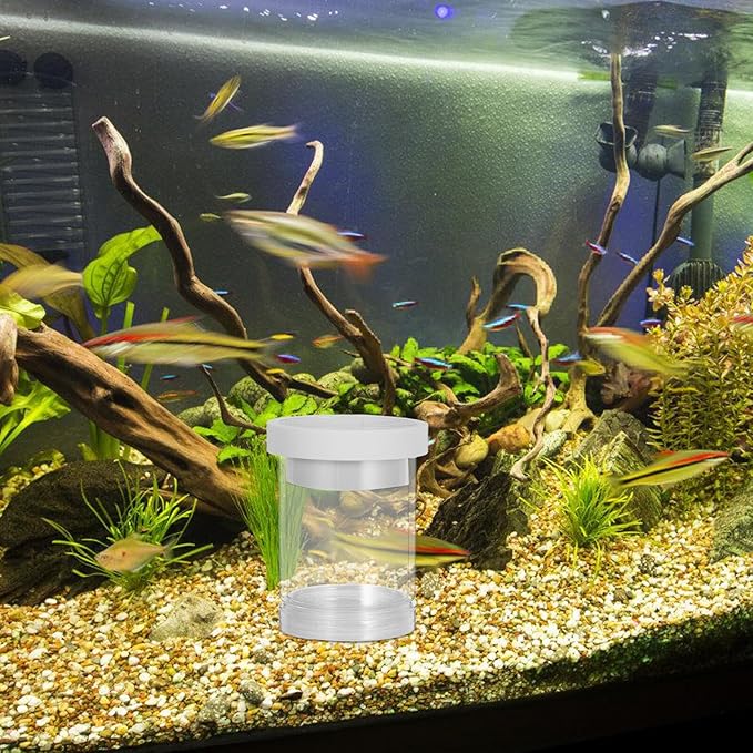 IMIKEYA Floating Aquarium Fish Breeding Box and Egg Incubator Isolation Chamber White Small Size Floating Hatchery for Guppy and Small Fish Fry