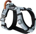 MADE TO ROAM Premium Explorer Harness - Y-Shaped Dog Harness with Adjustable Durable Nylon, Soft Padding, Metal Buckles and Leather Handle for Small, Medium, Large Dogs (Alaska Daybreak, Size 1)