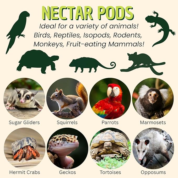 Nectar Pods (Pineapple) - Calcium-Fortified Jelly Fruit Treat - Sugar Gliders, Marmosets, Squirrels, Parrots, Cockatiels, Parakeets, Birds, Hamsters, Day Geckos, Kinkajous & Other Small Pets