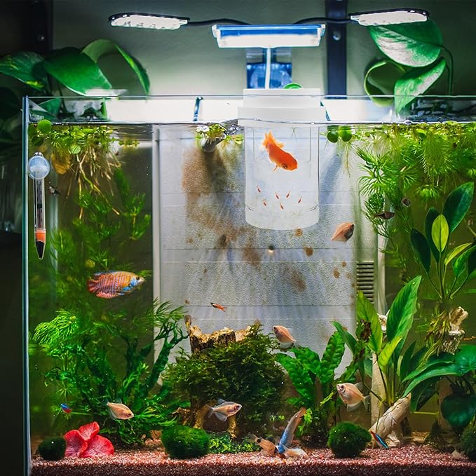 BESPORTBLE Small Floating Fish Breeding Box with Fine and Coarse Mesh Nets, Isolation Incubator Tank for Aquarium Fry and Shrimp Hatchery, White Set Suitable for Guppy and Betta Breeders