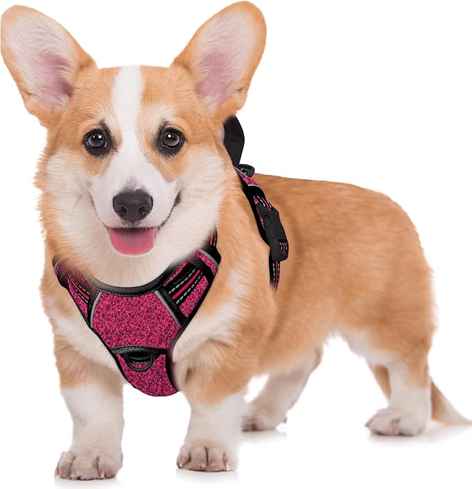 BARKBAY No Pull Dog Harness Large Reflective Dog Harness with Front Clip and Easy Control Handle for Walking Training Running with ID tag Pocket(Pink/Black,M)