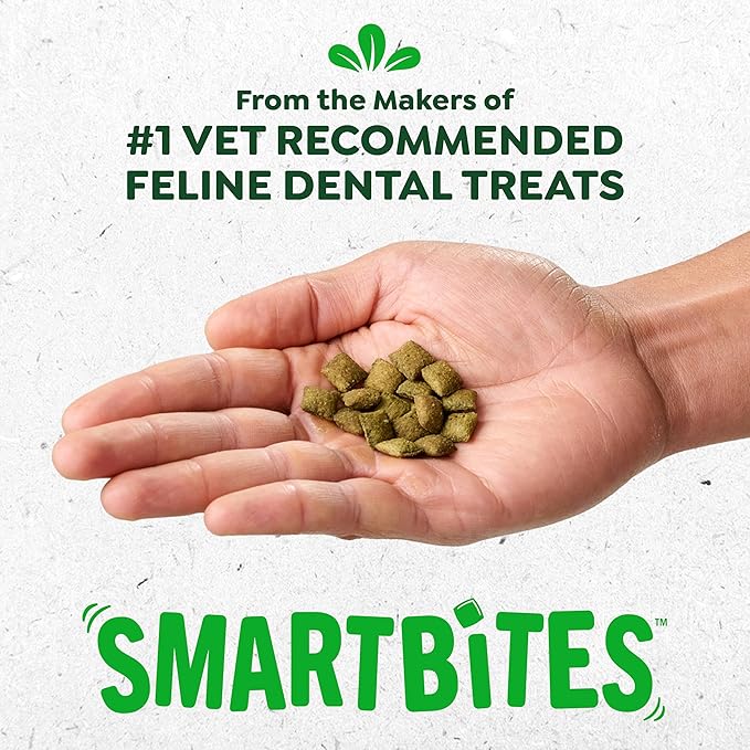 Greenies Cat Treats, Feline Smartbites, Skin & Fur Health, Crunchy and Soft Cat Treats, Salmon Flavor, 16 oz. Tub