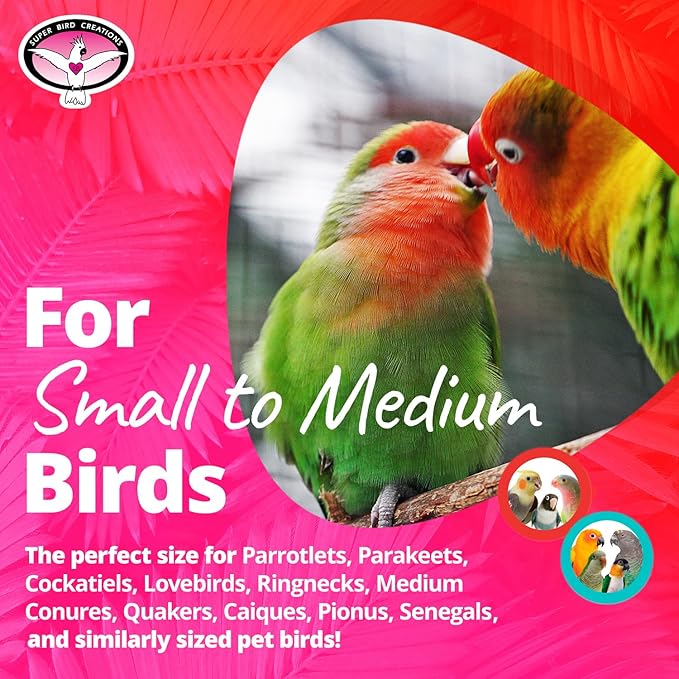 Super Bird Creations Mini Starburst Bird Toy - Colorful Bird Toy for Parrots, Cockatiels, Conures & Parakeets, Cockatiel Toy, Budgie Toys, Bird Toys, Bird Entertainment, Small Bird Size, 5.5" x 2.5"
