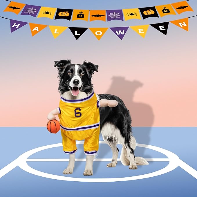 DELIFUR Dog Basketball Player Costume - Pet Halloween Costume Adjustable Funny Dress Up Sports Outfit Cosplay Clothes for Large Cats and Small Dogs (Yellow Basketball, X-Small)