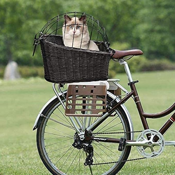 DIE Bicycle Basket for Pets, Bicycle Basket for Dogs, Bicycle Carrier, Bicycle Basket Rear Or Bicycle Basket Front, Handmade Cage and Mounting Bracket for Cat Dogs Up to 25 Kg.,Constructive23