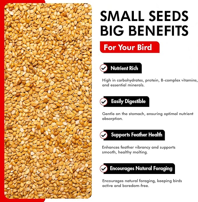 Morning Bird Golden German Millet 4.5 lbs (3-Pack, 1.5 lbs Each) – Natural Millet Seed for Birds – Natural Protein & Fiber Source – Easy-to-Digest Daily Nutrition for All Bird Types