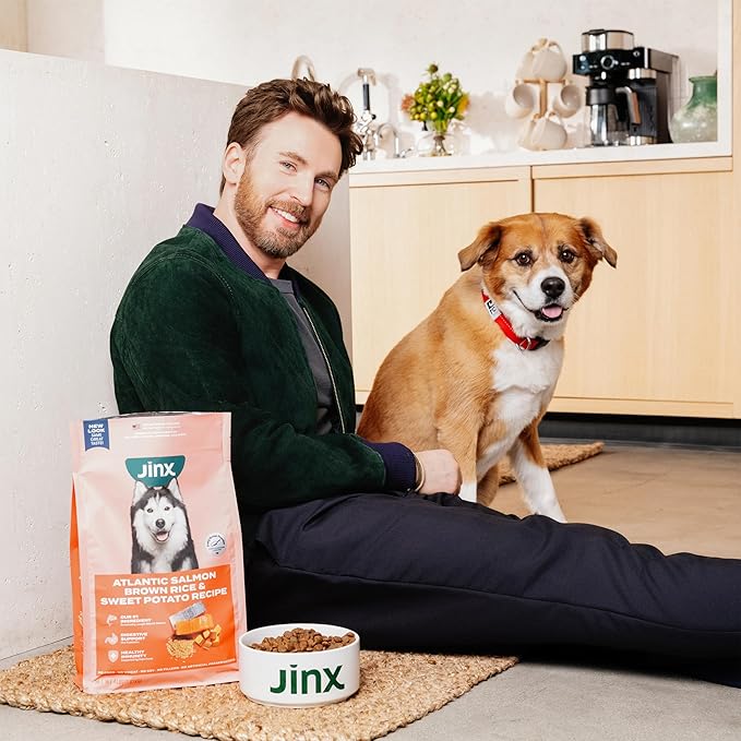 Jinx Premium Dry Dog Food for Large Dogs - Adult Dog Food with Real Beef, Brown Rice & Sweet Potato Kibble with Antioxidants for Joint Health, Mobility & Immune Support - No Fillers - 11.5lb
