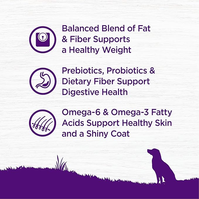Wellness Complete Health Healthy Weight Adult Dry Dog Food, Wholesome Grain Kibble, Chicken and Peas Recipe, 13 lb Bag