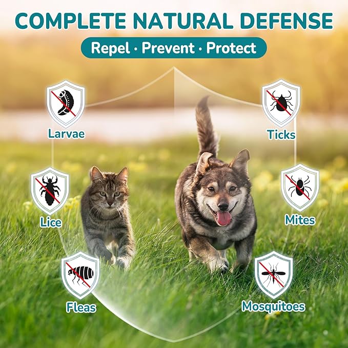 Natural Flea & Tick Prevention Bundle for Cats & Dogs, 200 Chews + Drops 4-in-1 Herbal Drops, Supports Skin, Coat, Digestion & Immunity, Gentle Daily Flea Treatment for Multi-Pet Homes