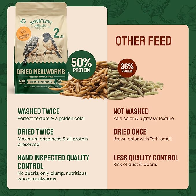 Hatortempt 1.8lb Dried Mealworms for Wild Birds - 50% Protein Meal Worms for Wild Birds - Attracts Bluebirds, Starlings, Wrens, Woodpeckers, Cardinals and Robins