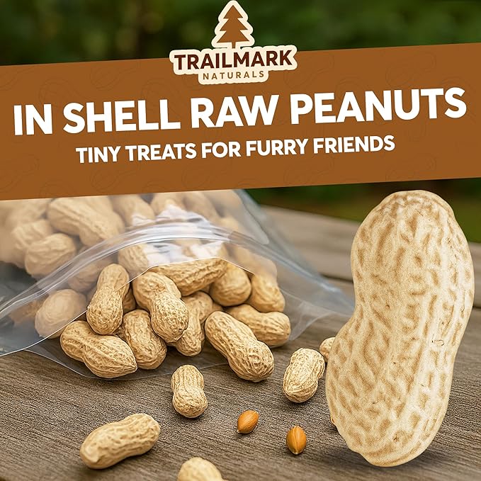 2 LB - Raw Peanuts For Squirrels, Raw In Shell Peanuts For Birds and Wildlife- Squirrel Food, Wild Bird Seed - Grown in The USA