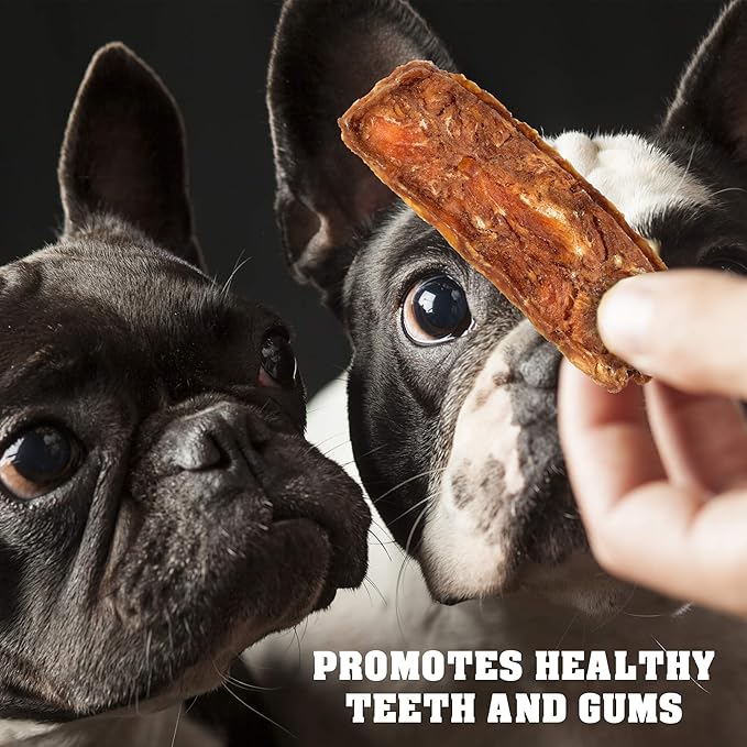 Dog Treats Chicken Jerky 1.5 lb – Dog Food & High Protein Chews for Large, Medium & Small Breeds - Natural Healthy Training Snacks – Human Grade – Grain Free, Rawhide Free – Puppy & Senior Bulk Pack