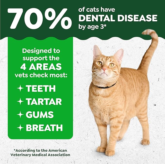 Greenies Cat Treats, Feline Veterinarian-Recommended Adult Natural Dental Cat Treats, Savory Salmon Flavor, 21 oz. Tub