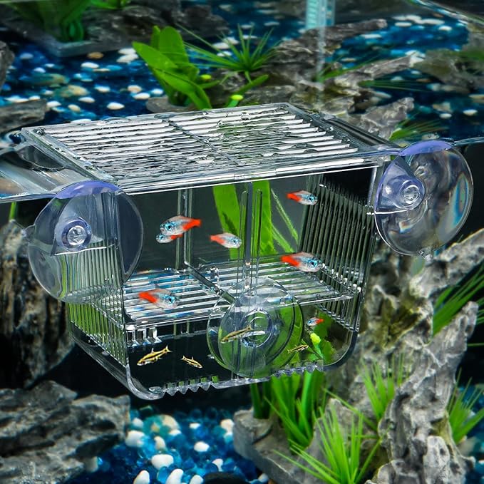 Pawfly Aquarium Breeding Box, Acrylic Fish Isolation Box with 6 Suction Cups, Aquarium Acclimation Hatchery Incubator for Baby Shrimp Betta Aggressive Fish Guppy (Small)