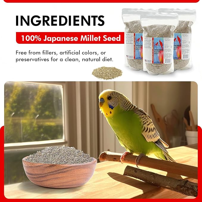 Morning Bird Japanese Millet Seed Bag 4.5 lbs (3-Pack, 1.5 lbs Each) - Healthy & Nutritious Pet Bird Food to Support Health & Immunity – Ideal Bird Feed for All Seed-Eating Birds