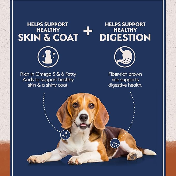 Natural Balance Limited Ingredient Adult Dry Dog Food with Healthy Grains, Reserve Duck & Brown Rice Recipe, 4 Pound (Pack of 1)
