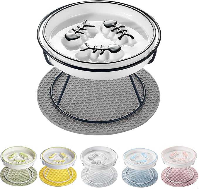 Elevated Cat Slow Feeder Bowls,Whisker Friendly Cat Bowl, Ceramic Raised Slow Feeder, Anti Vomit Promotes Digestion Bowls for Dry and Wet Food
