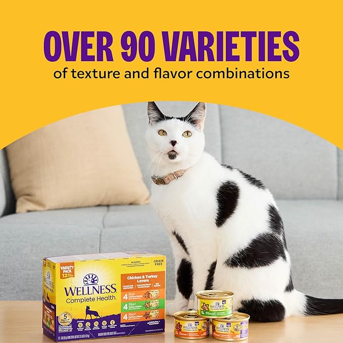 Wellness Complete Health Pate Adult Wet Cat Food, Natural, Protein-Rich, Grain Free, 3 Ounce, 12 Pack, (Chicken & Turkey Favorites Variety Pack)