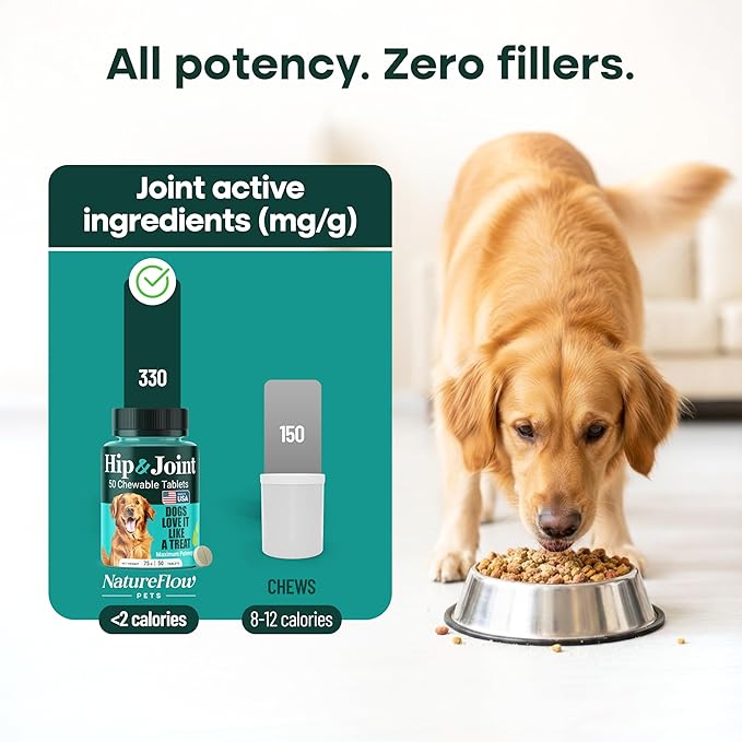 Natureflow Hip and Joint Supplement for Dogs, Arthritis Dog Joint Supplement with Green-Lipped Mussel, Glucosamine, MSM & Chondroitin, Zero Sugar Chewable Pills, Made in USA, Large Medium Small Breeds