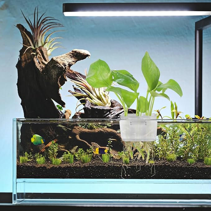 3 Holes Upgraded Aquatic Plant Cup Aquarium Plant Holder for Tank,Aquascape Accessories Decorations- White 4 Pcs