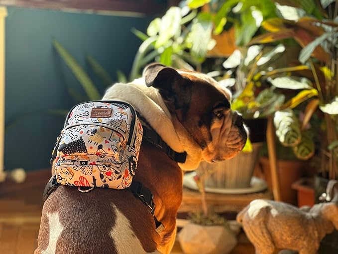 PawLook Dog Backpack to Wear with Chest Harness Self Carrier dogbag with Additional Pocket for Poop Bag Anti Slip Stylish Dog Bag for Your pet Street Smart Serie White Bone Small