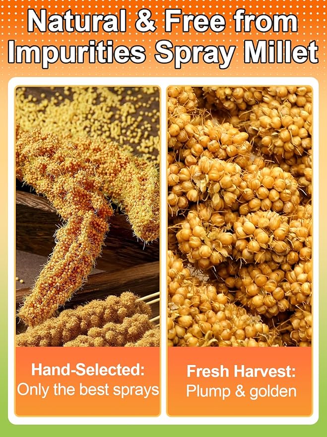 MEWTOGO Spray Millet & Cuttlebone Bird Treats Set - 2lb Hand Selected Golden Millet Treats for Parakeets Cockatiel Lovebirds Canaries Finches, Energy & Calcium Boost