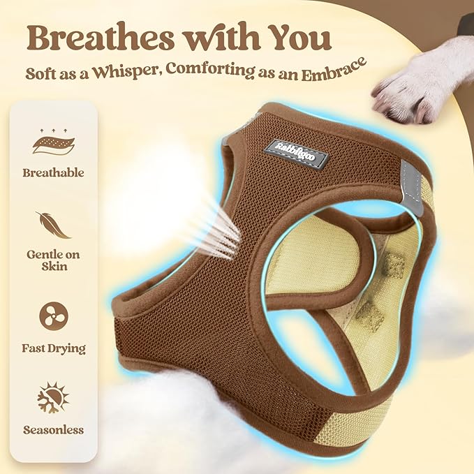 rabbitgoo Dog Harness Small Medium Sized and Leash Set, Step in Soft Light Puppy Vest, Breathable Mesh Pet Harness, Reflective for Safe Easy Walking, Brown & Beige L