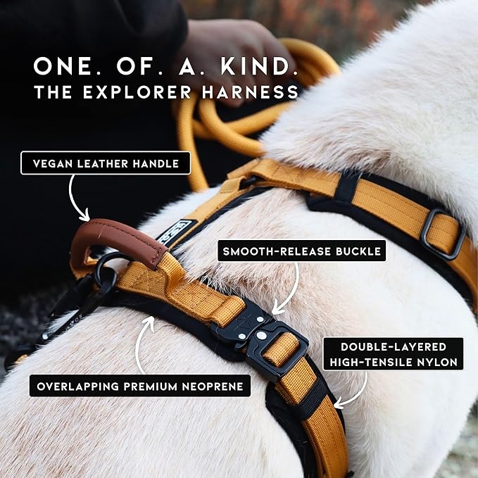 MADE TO ROAM Premium Explorer Harness - Y-Shaped Dog Harness with Adjustable Durable Nylon, Soft Padding, Metal Buckles and Leather Handle for Small, Medium, Large Dogs (New York Afterlight, Size 2)