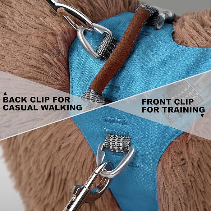 No Pull Dog Harness – Adjustable Reflective Nylon Vest for Small Medium Large Dogs, Escape Proof Training Harness with Leather Control Handle, Lightweight Aluminum Hardware (Cyan, S)