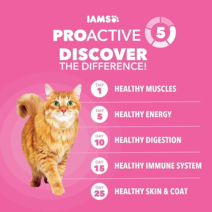 IAMS Proactive Health Sensitive Digestion & Skin Dry Cat Food, Adult Cat Food Dry Recipe with Real Turkey, 13 lb. Bag