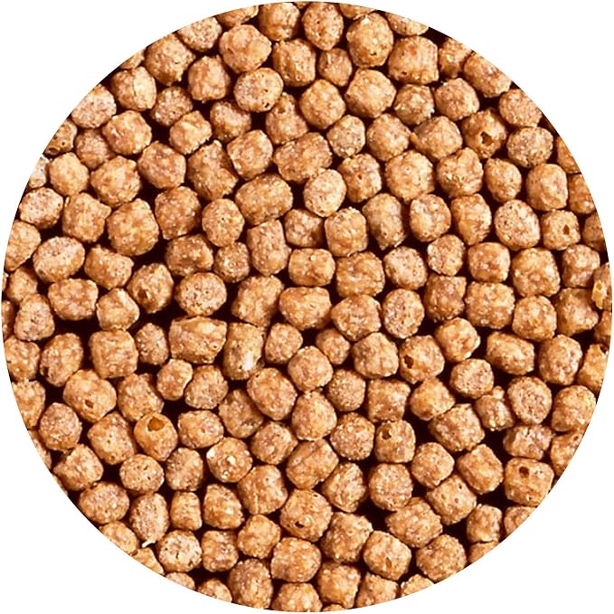 Hikari Usa Inc AHK06220 Wheat Germ 3.5-Ounce Mini