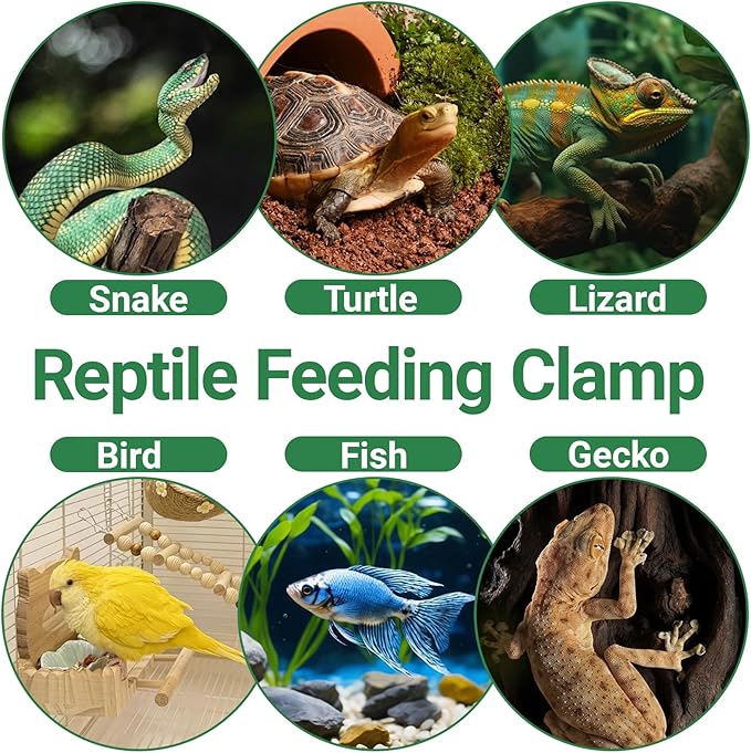 Reptile Feeding Clamp, 4 PCS Reptile Feeding Tongs Plastic Reptiles Poop Scoop for Gecko Turtle Lizard Frog Snake and Other Small Animals